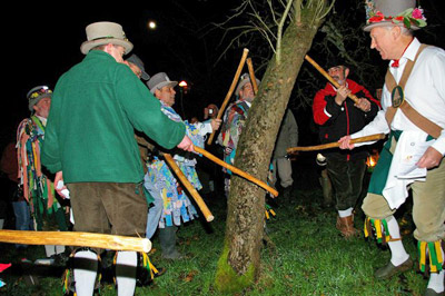 wassailing