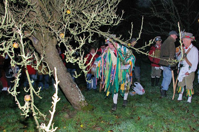 wassailing