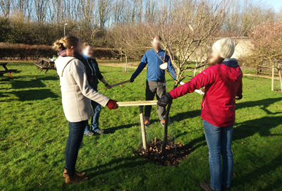 wassailing