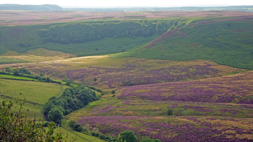 North York Moors