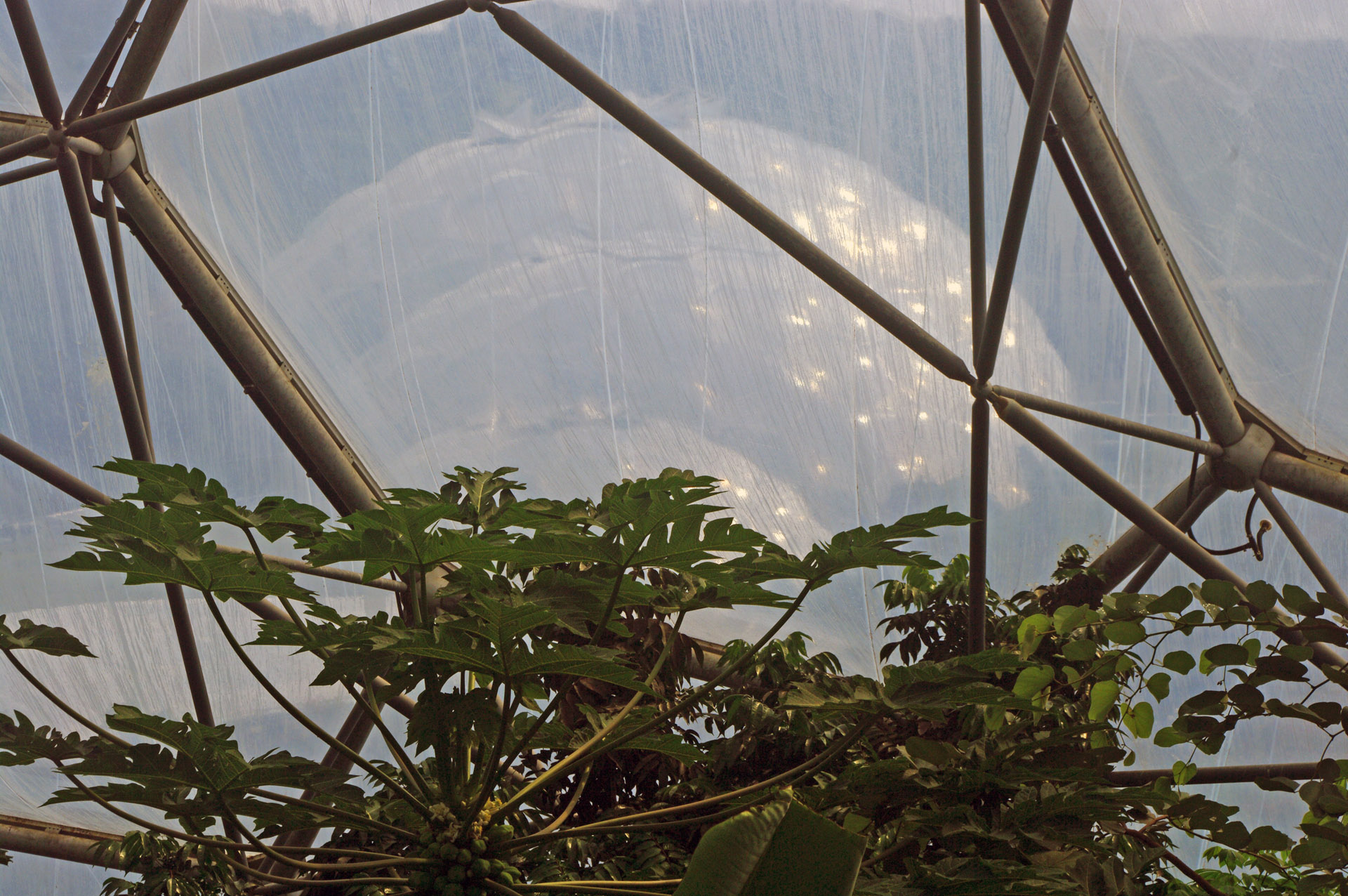cornwall domes through covering another Eden Project