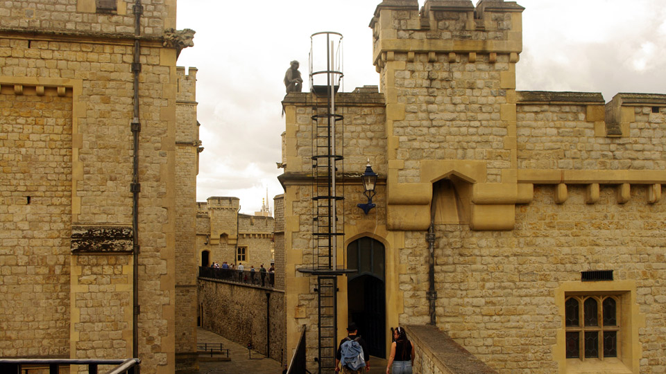 Tower of London Zoo