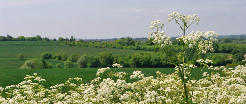 british countryside